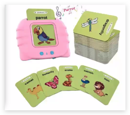 Educational Interactive Talking Flashcards